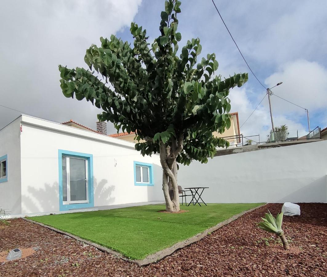 カリェタ Madeira Blue Houseヴィラ エクステリア 写真